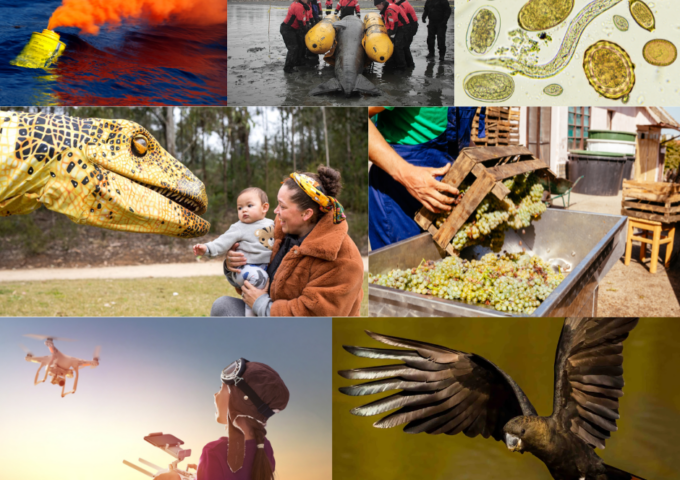 National grant round recipients for 2025 announced