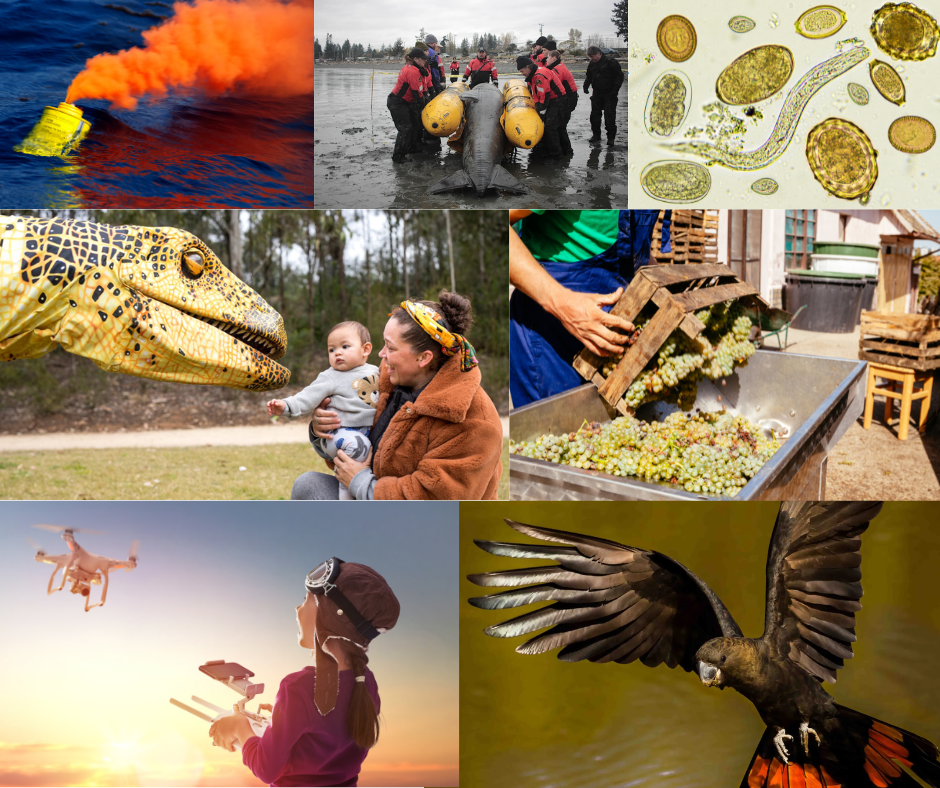 National grant round recipients for 2025 announced