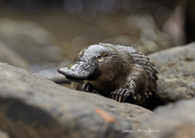 For nature lovers and outdoor explorers