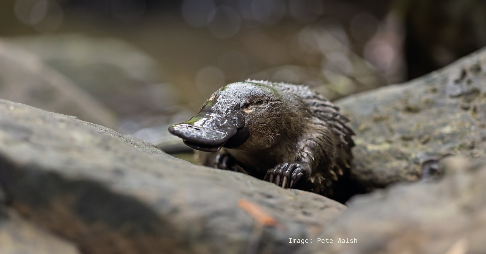 For nature lovers and outdoor explorers