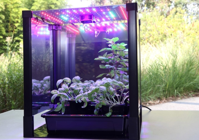 VIC 2025 highlights: Plants (past and future), attention, distraction, sharks, Minions, and more