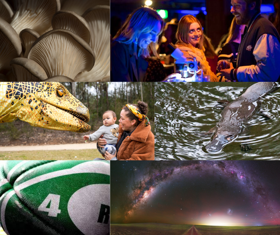 National grant round recipients for 2026 announced